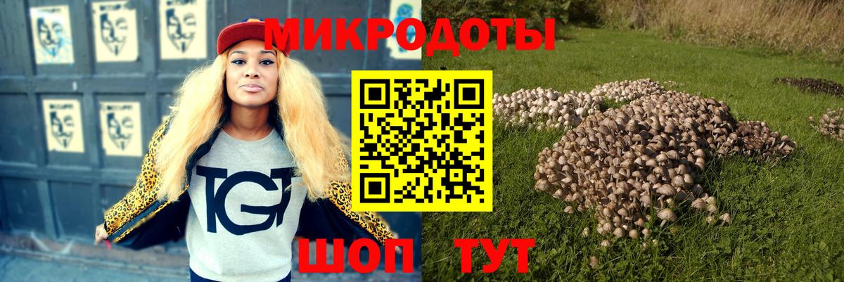 Псилоцибиновые грибы Psilocybe  Вход с VPN  Амурск  Галлюциногенные грибы мухоморы 