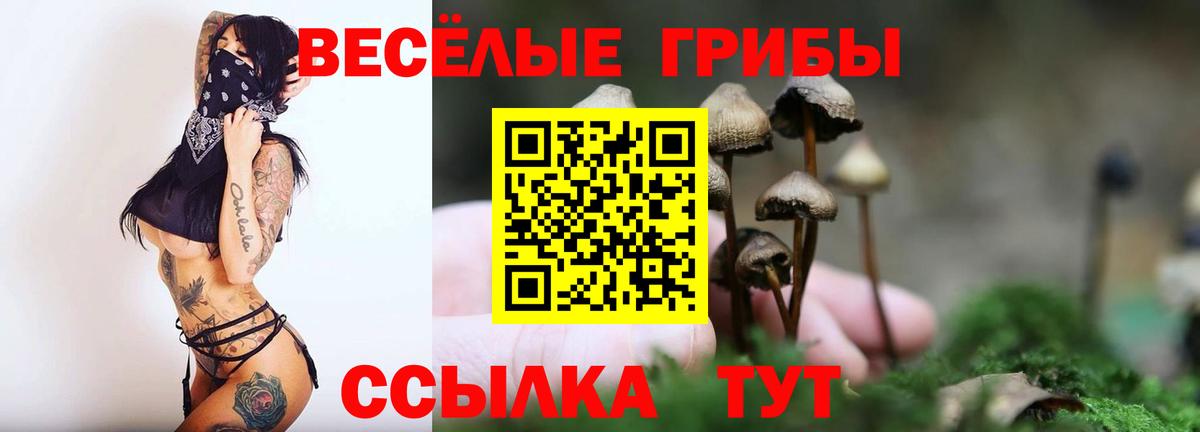 Галлюциногенные грибы Cubensis Амурск